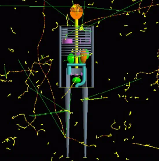 Investigation of Neutrino's Role in the Non Invasive Medical Diagnostics